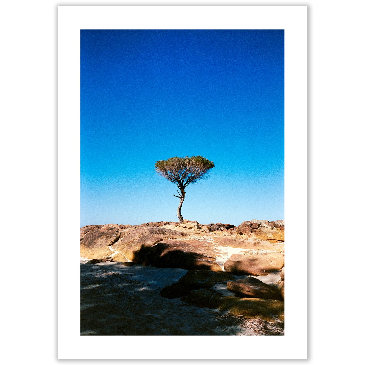 HIGH VOLTAGE - 'Punk' | Limited Edition A2 Print